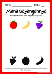 Lembar 1: Mana Bayangannya
