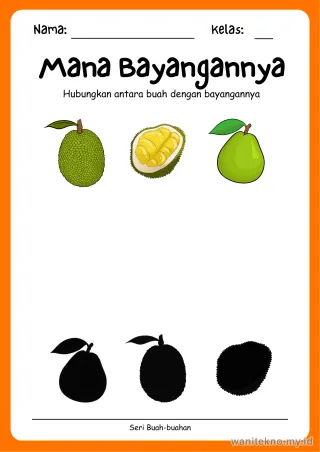 Lembar 3: Mana Bayangannya