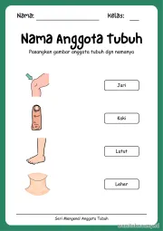 Lembar 8: Nama Anggota Tubuh