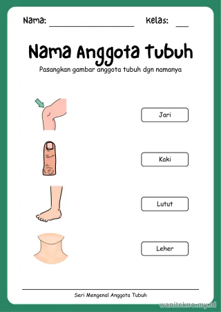 Lembar 8: Nama Anggota Tubuh