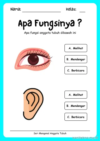 Pratinjau paket 16 Lembar Fungsi Benda — TK Gratis PDF