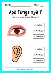 Lembar 1: Apa Fungsinya ?