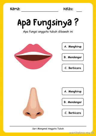 Lembar 2: Apa Fungsinya ?