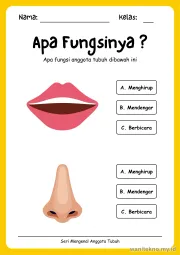 Lembar 2: Apa Fungsinya ?