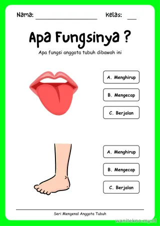 Lembar 3: Apa Fungsinya ?