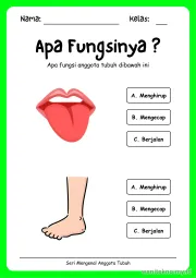 Lembar 3: Apa Fungsinya ?
