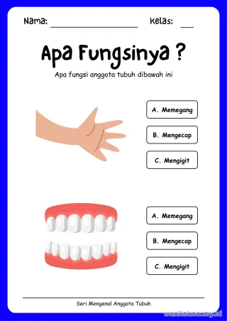 Lembar 4: Apa Fungsinya ?