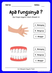 Lembar 4: Apa Fungsinya ?