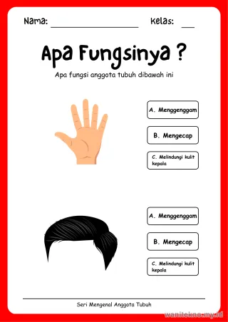 Lembar 5: Apa Fungsinya ?