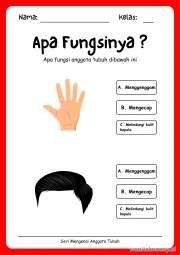 Lembar 5: Apa Fungsinya ?
