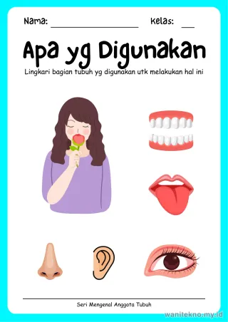 Pratinjau paket 15 Lembar Fungsi Benda — TK Gratis PDF