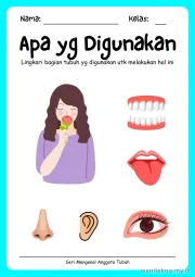 Lembar 1: Apa yg Digunakan