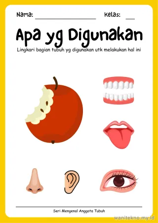 Lembar 2: Apa yg Digunakan