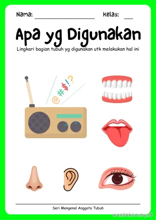 Lembar 3: Apa yg Digunakan