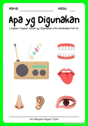 Lembar 3: Apa yg Digunakan