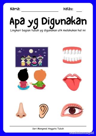 Lembar 4: Apa yg Digunakan
