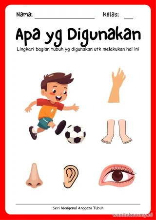 Lembar 5: Apa yg Digunakan