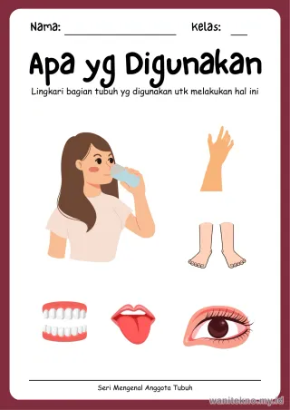 Lembar 8: Apa yg Digunakan