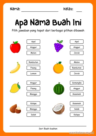 Pratinjau paket 13 Lembar Kelompokkan Buah Buahan — TK Gratis PDF