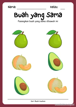 Lembar 12: Buah yang Sama