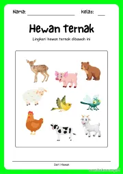 Lembar 5: Hewan Ternak