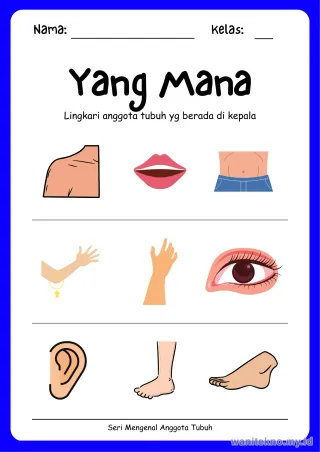Lembar 8: Yang Mana
