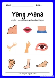 Lembar 8: Yang Mana