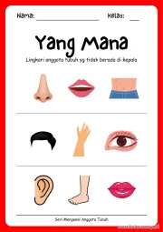 Lembar 9: Yang Mana