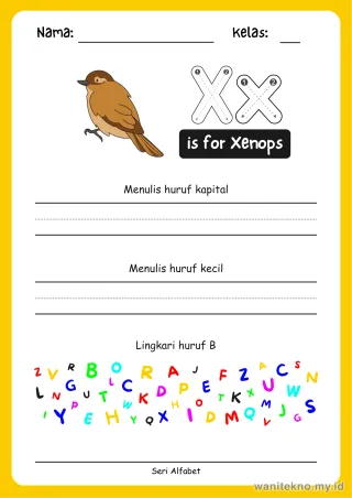Lembar 6: is for Xenops