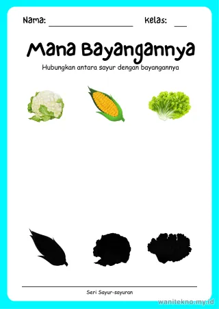 Lembar 11: Mana Bayangannya