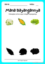 Lembar 11: Mana Bayangannya