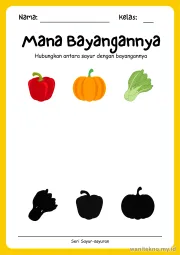 Lembar 12: Mana Bayangannya