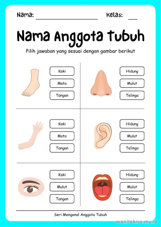 Pratinjau paket 12 Lembar Tebak Nama Mengenal Anggota Tubuh — TK Gratis PDF