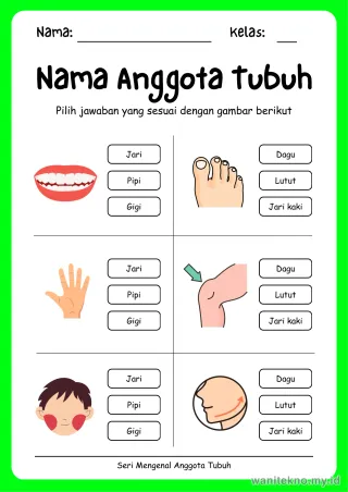 Lembar 3: Nama Anggota Tubuh