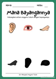 Lembar 10: Mana Bayangannya