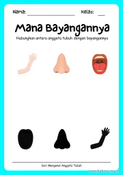 Lembar 11: Mana Bayangannya