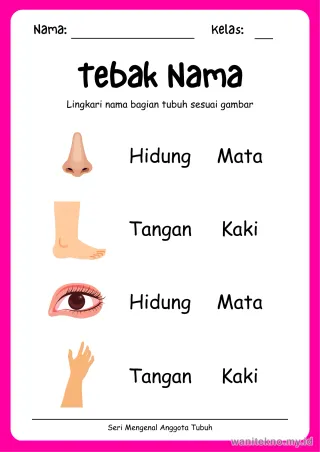 Pratinjau paket 15 Lembar Tebak Nama Mengenal Anggota Tubuh — TK Gratis PDF