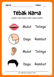 Lembar 2: Tebak Nama