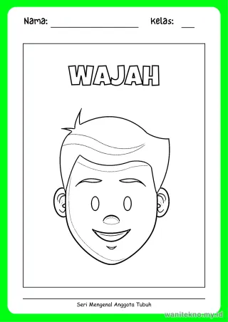 Lembar 8: WAJAH