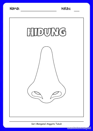 Lembar 9: HIDUNG