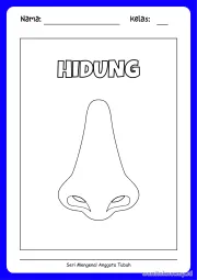Lembar 9: HIDUNG