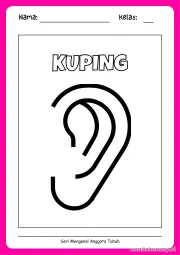 Lembar 11: KUPING