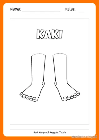 Lembar 12: KAKI