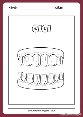 Lembar 13: GIGI