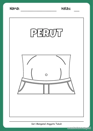 Lembar 15: PERUT